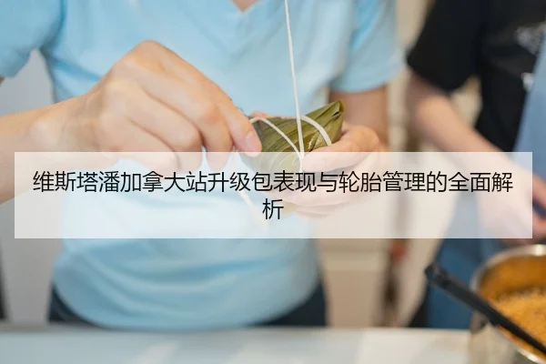 维斯塔潘加拿大站升级包表现与轮胎管理的全面解析