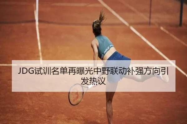 JDG试训名单再曝光中野联动补强方向引发热议